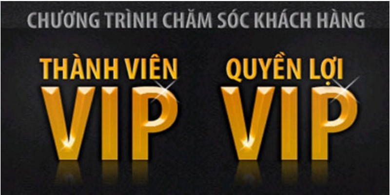 Thành viên cấp VIP thường có đặc điểm, phúc lợi riêng